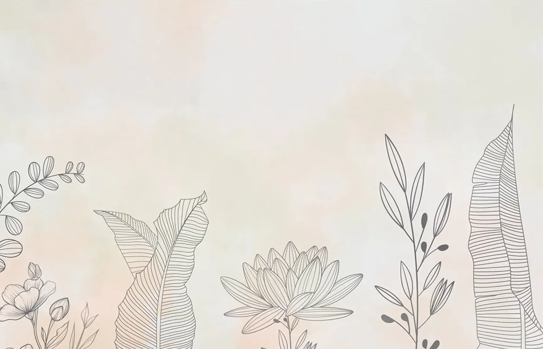 banner image